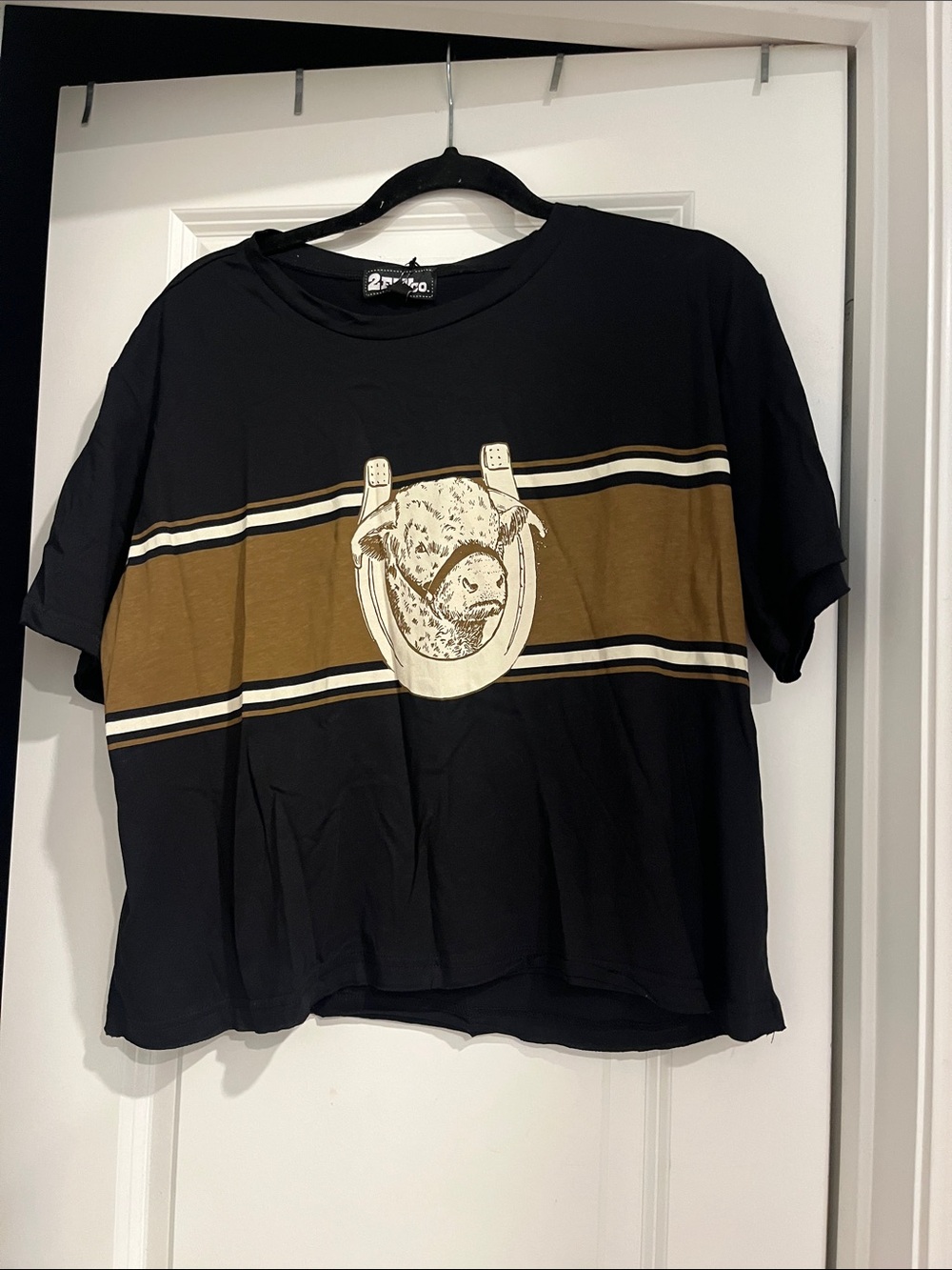 2Kool Black & Brown Striped Crop Top with Graphic